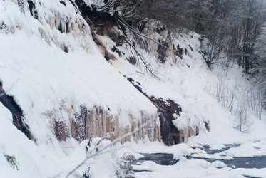 Similar image 1755110