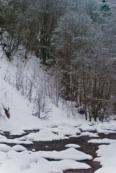 Similar image 1755111