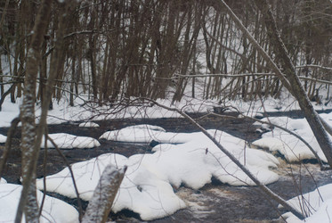 Similar image 1755115