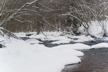 Similar image 1755117