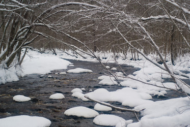 Similar image 1755120