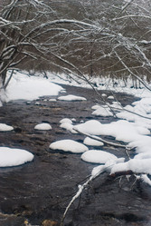 Similar image 1755122