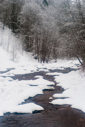 Similar image 1755123