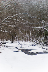 Similar image 1755124