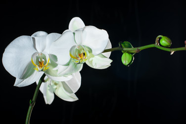 Similar image 1755136