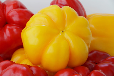 Similar image 1755150