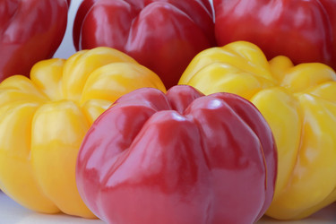 Similar image 1755156