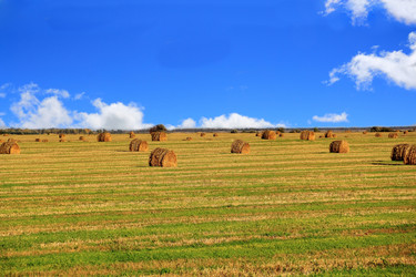 Similar image 1755206