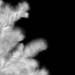 Similar image 1755256