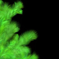 Similar image 1755295