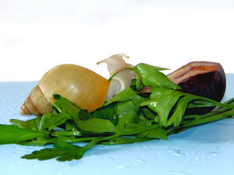 Similar image 1755300