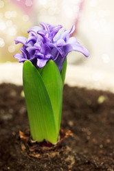 Similar image 1755376