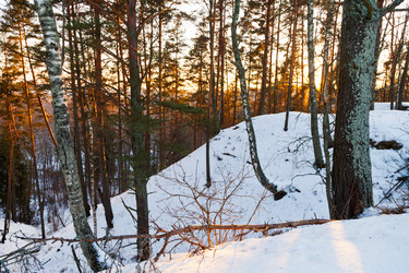 Similar image 1755476