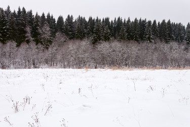 Similar image 1755520