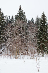 Similar image 1755523