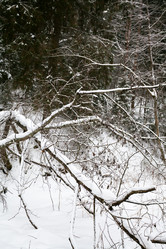 Similar image 1755525