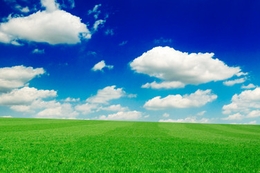 Similar image 1755604