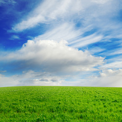 Similar image 1755607