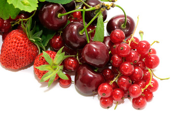 Similar image 1755613