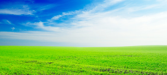 Similar image 1755617