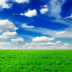 Similar image 1755619