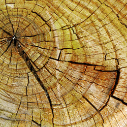 Similar image 1755621