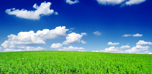 Similar image 1755623