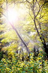 Similar image 1755624