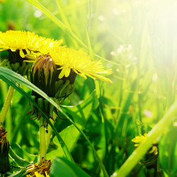 Similar image 1755639