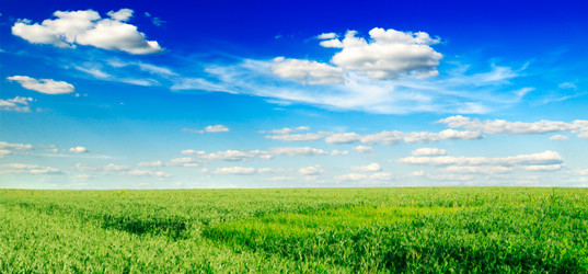 Similar image 1755641