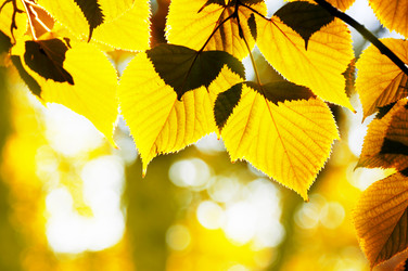 Similar image 1755644