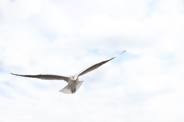 Similar image 1755655