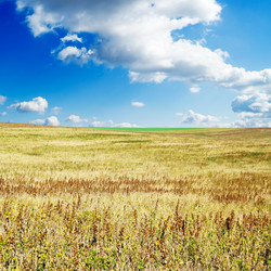 Similar image 1755661