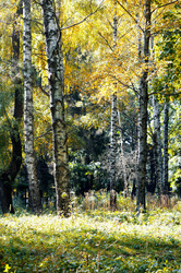 Similar image 1755667