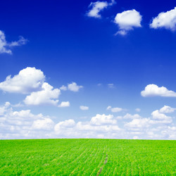 Similar image 1755675