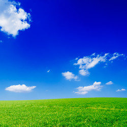 Similar image 1755688