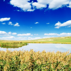 Similar image 1755698