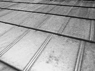 Similar image 1755876