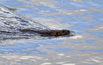 Similar image 1755975