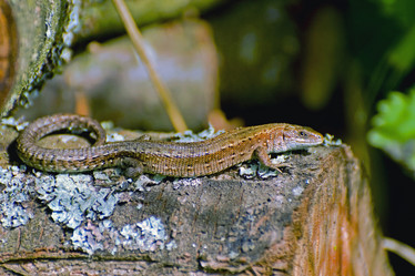 Similar image 1755976