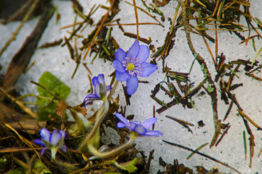 Similar image 1755978