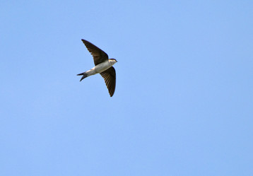 Similar image 1755979