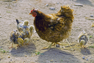 Similar image 1755980