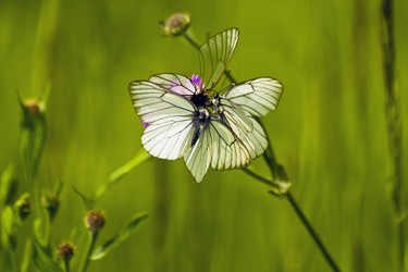 Similar image 1755981