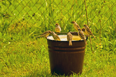 Similar image 1755995