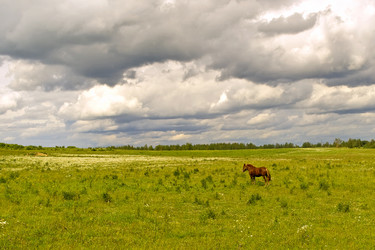 Similar image 1755998