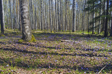 Similar image 1755999