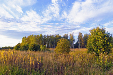 Similar image 1756001