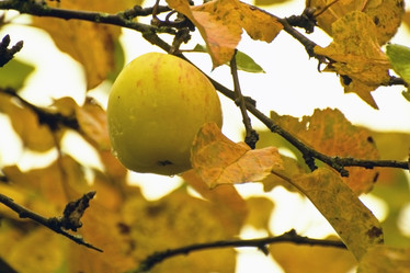 Similar image 1756002