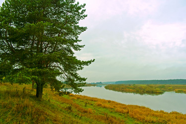 Similar image 1756077